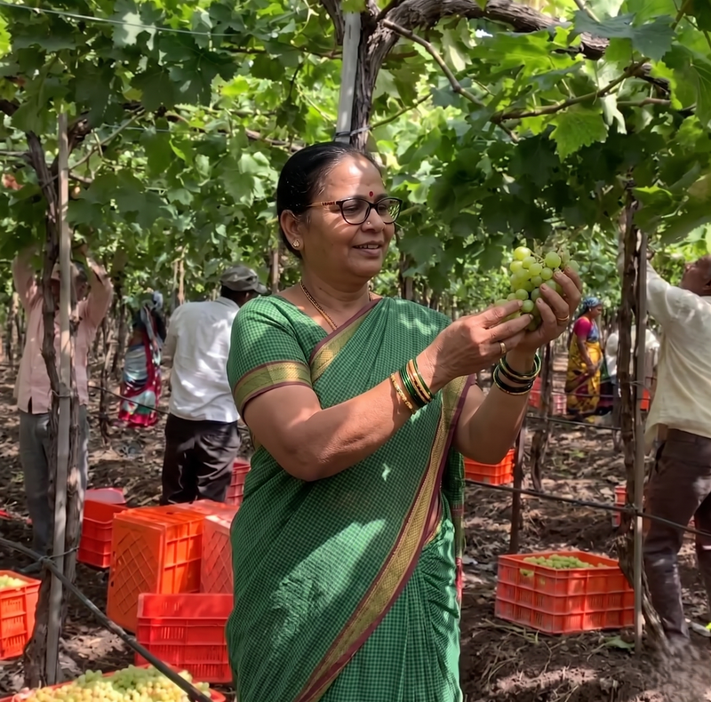 Handpicked With Care