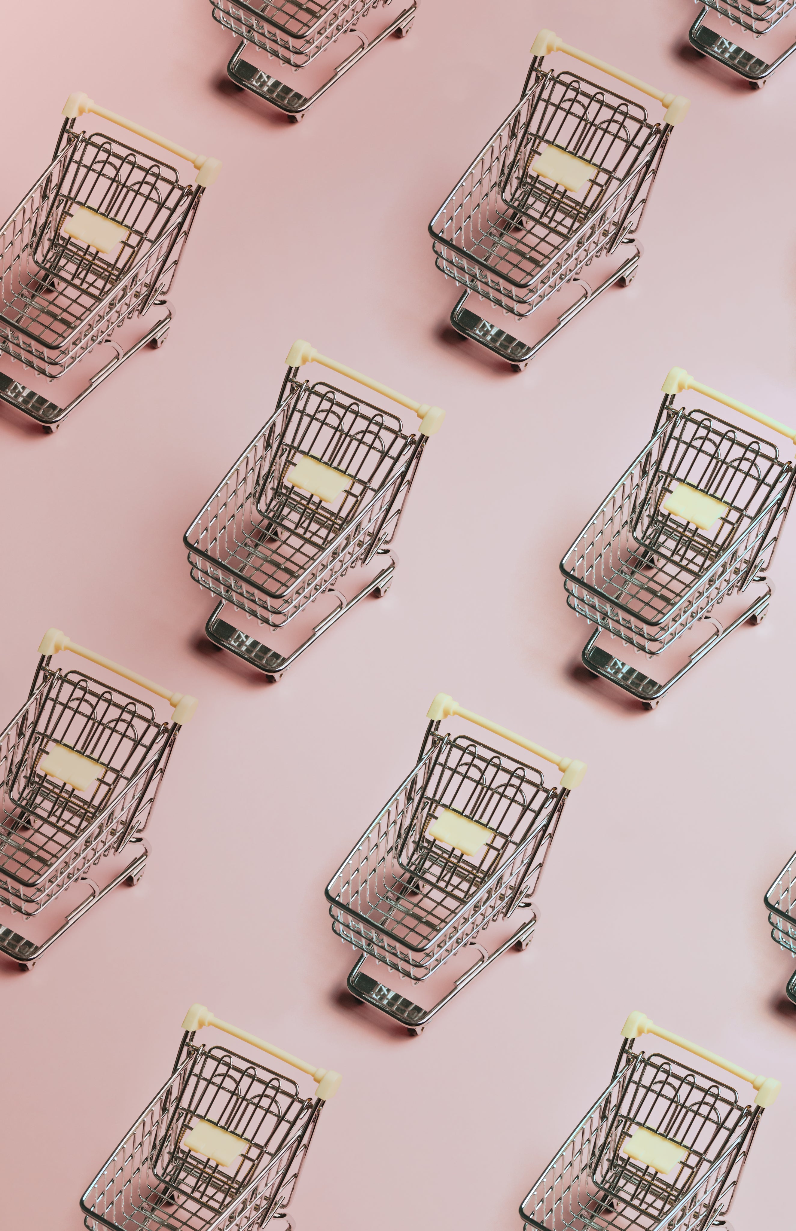 Your Shopping Cart